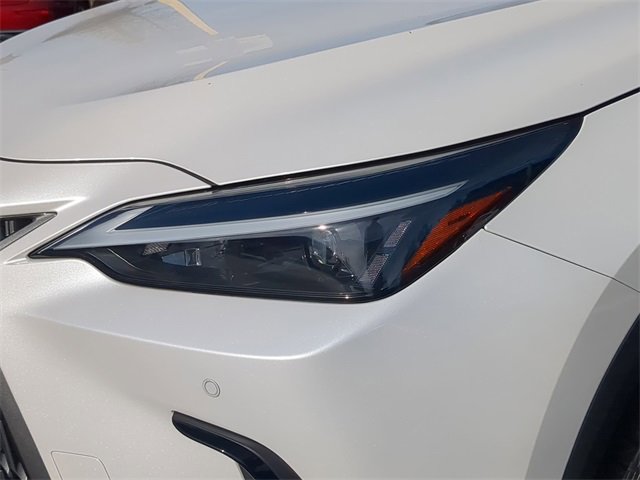 Used 2024 Lexus NX 250 250 Premium image 10