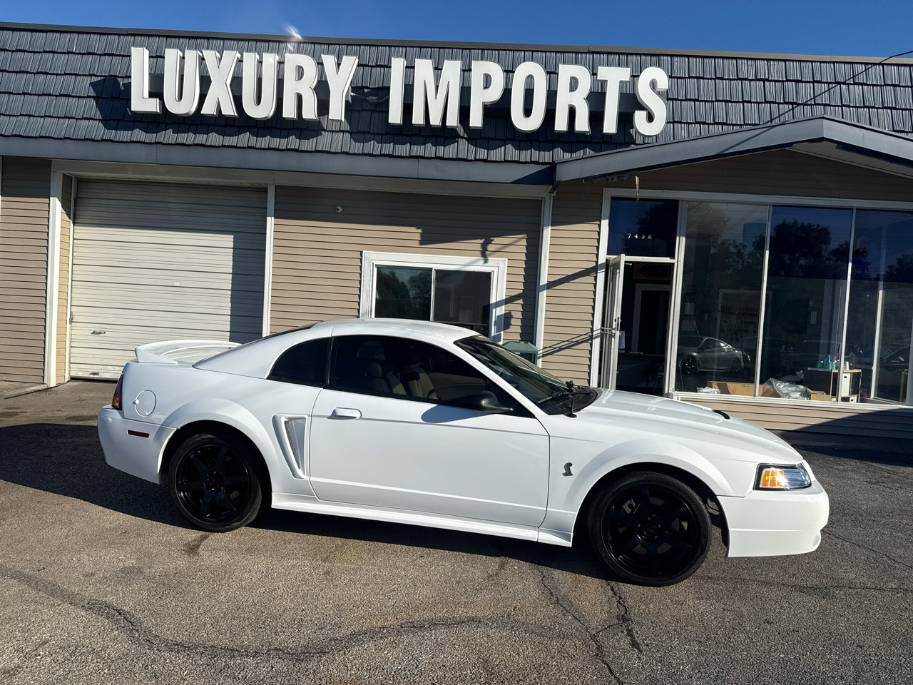 Used 1999 Ford Mustang Cobra image 3