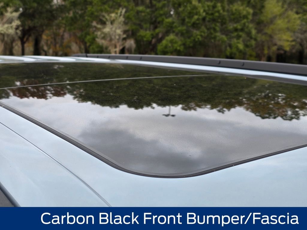 New 2025 Ford Expedition Platinum w/ Stealth Appearance Package image 16