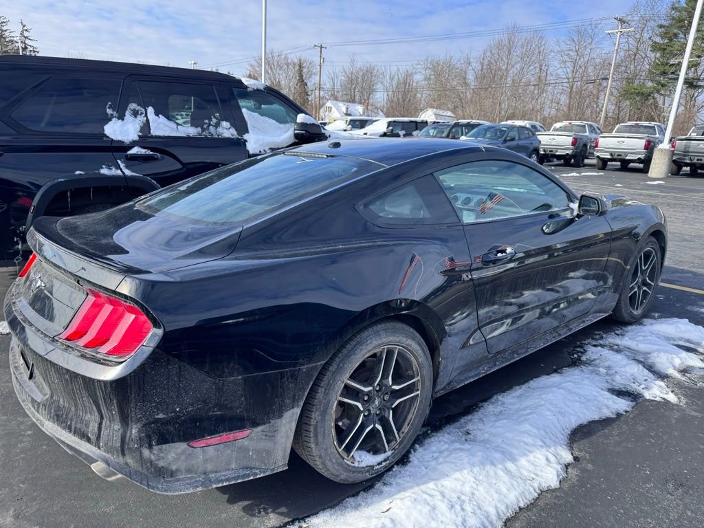Used 2019 Ford Mustang EcoBoost w/ Equipment Group 101A image 4