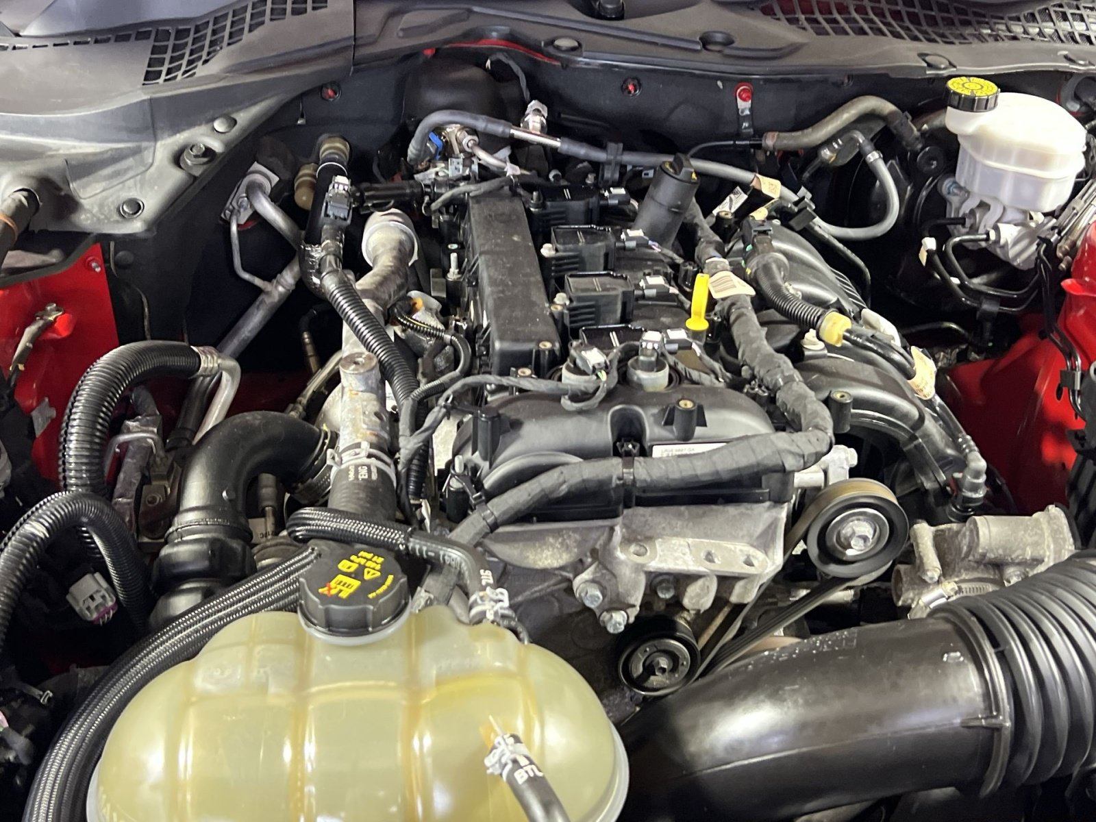 Used 2021 Ford Mustang Coupe w/ Equipment Group 101A RWD image 28