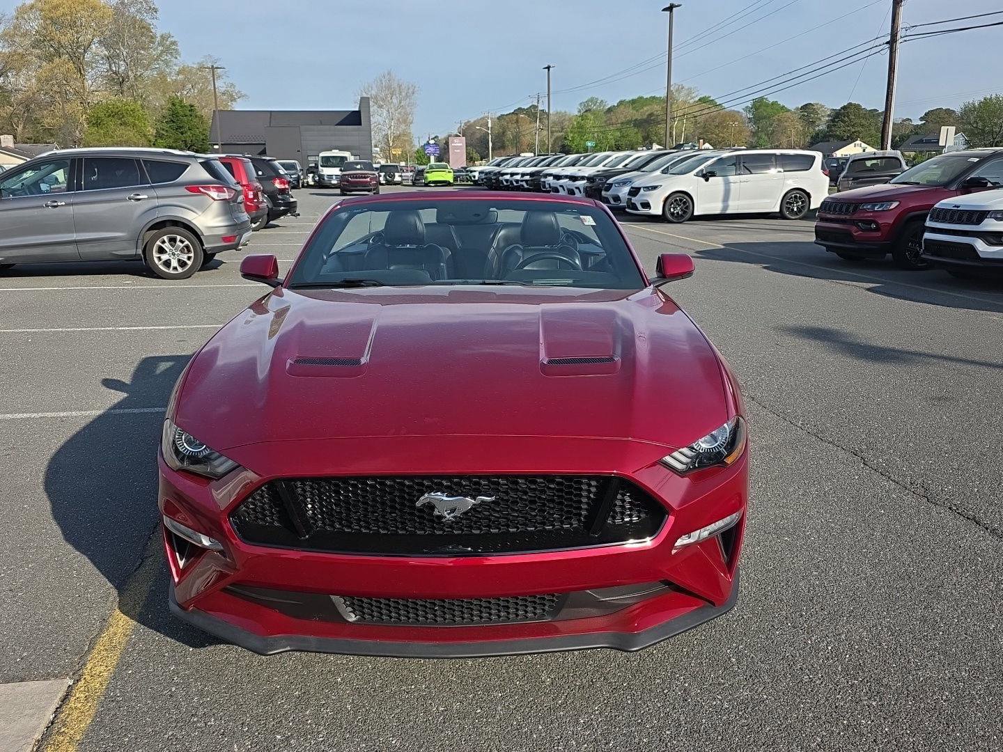 Used 2019 Ford Mustang GT Premium w/ Equipment Group 401A RWD image 2