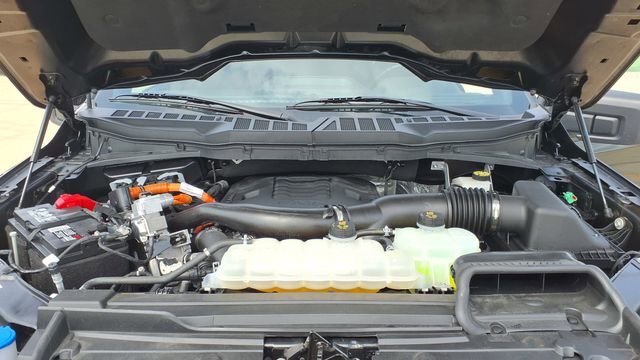 Used 2023 Ford F150 XLT w/ Equipment Group 302A High image 32