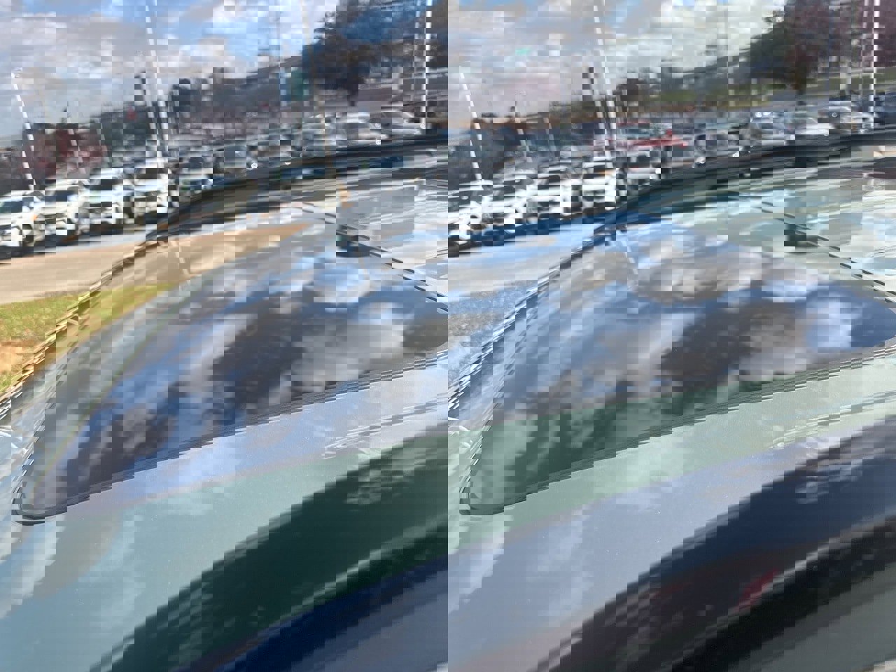 Used 2024 Kia Telluride SX X-Line image 6