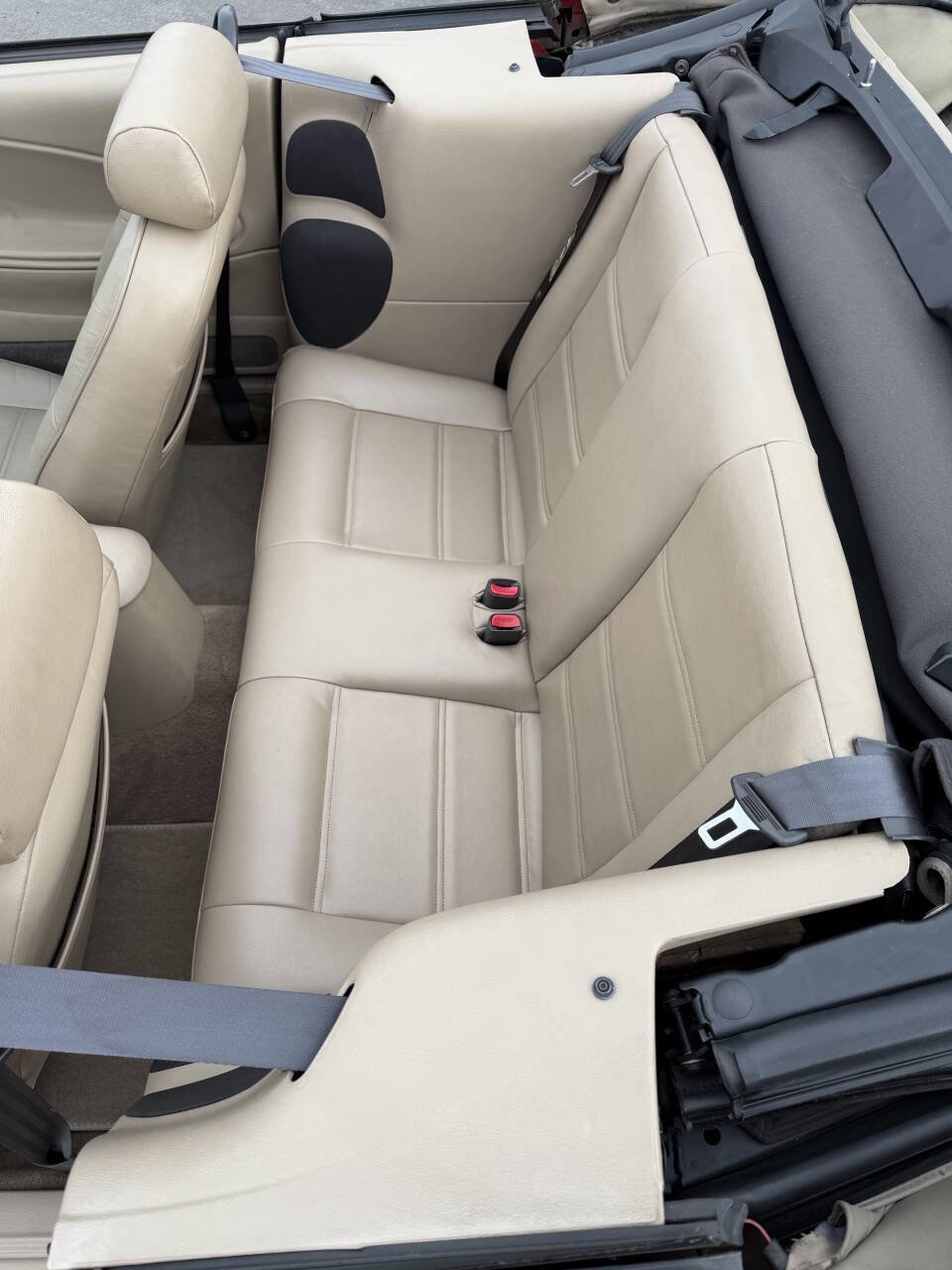 Used 2001 Ford Mustang Convertible image 12