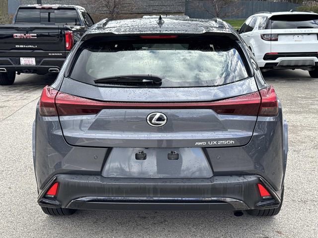 Certified 2023 Lexus UX 250h F Sport image 6
