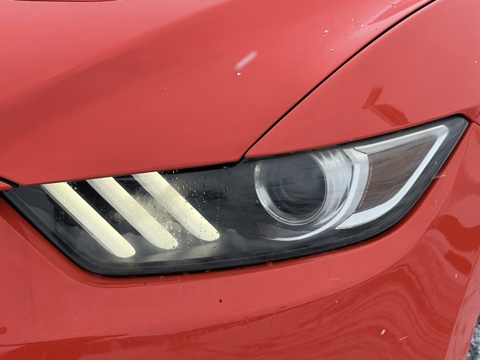 Used 2015 Ford Mustang GT Premium w/ Equipment Group 401A image 29