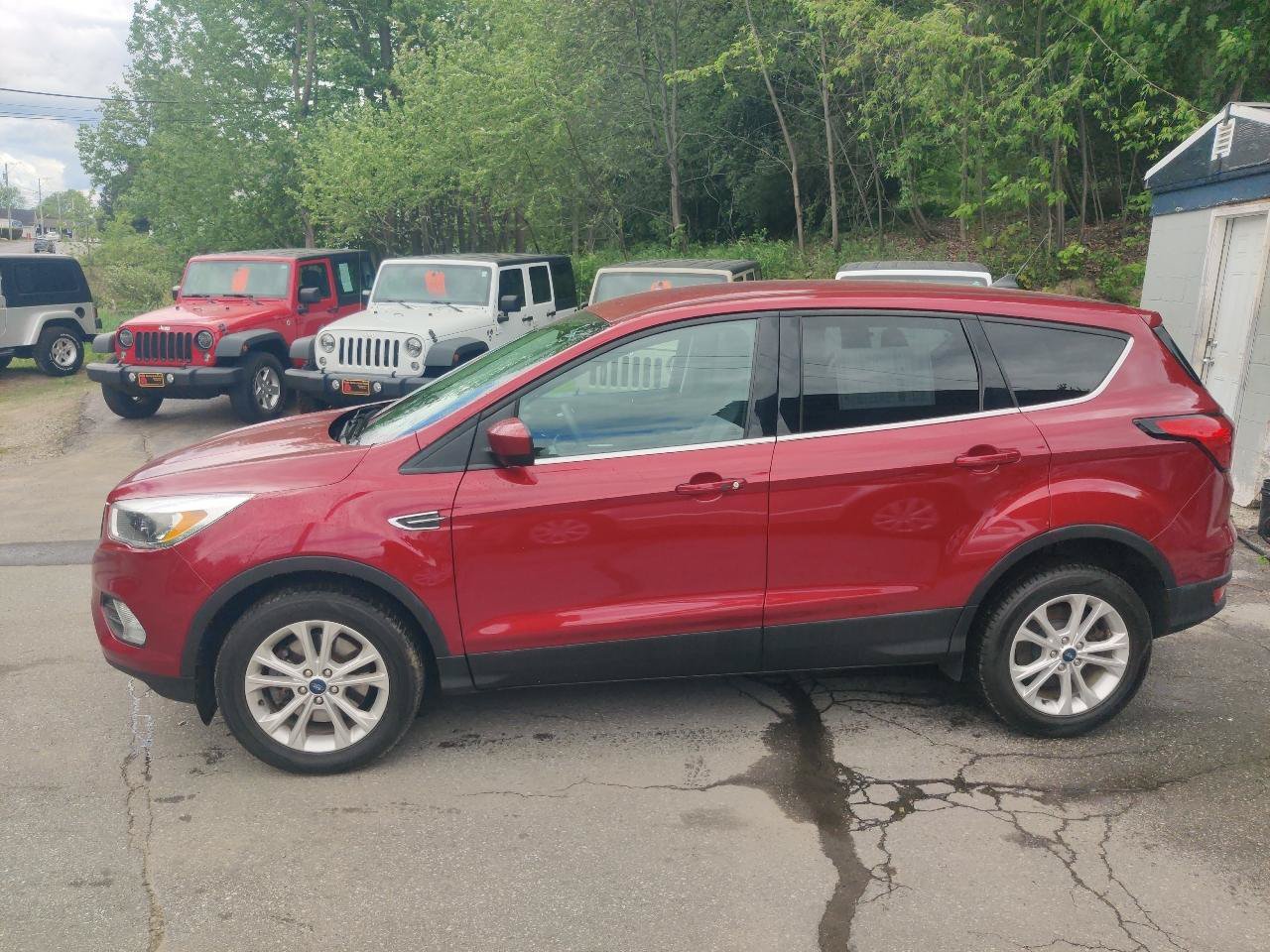 Used 2019 Ford Escape SE AWD/4WD image 3