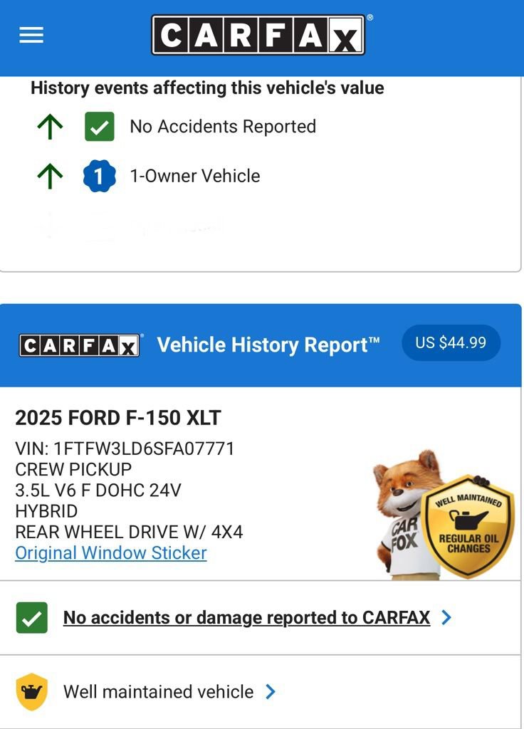 Used 2025 Ford F150 XLT w/ Equipment Group 303A High image 4