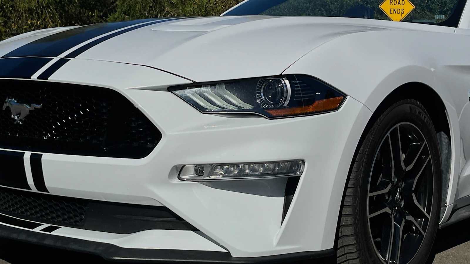 Used 2019 Ford Mustang GT Premium w/ Equipment Group 401A RWD image 23