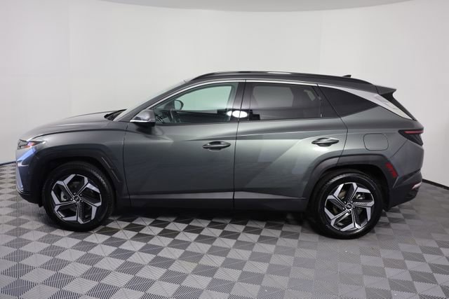 Certified 2023 Hyundai Tucson Limited image 5