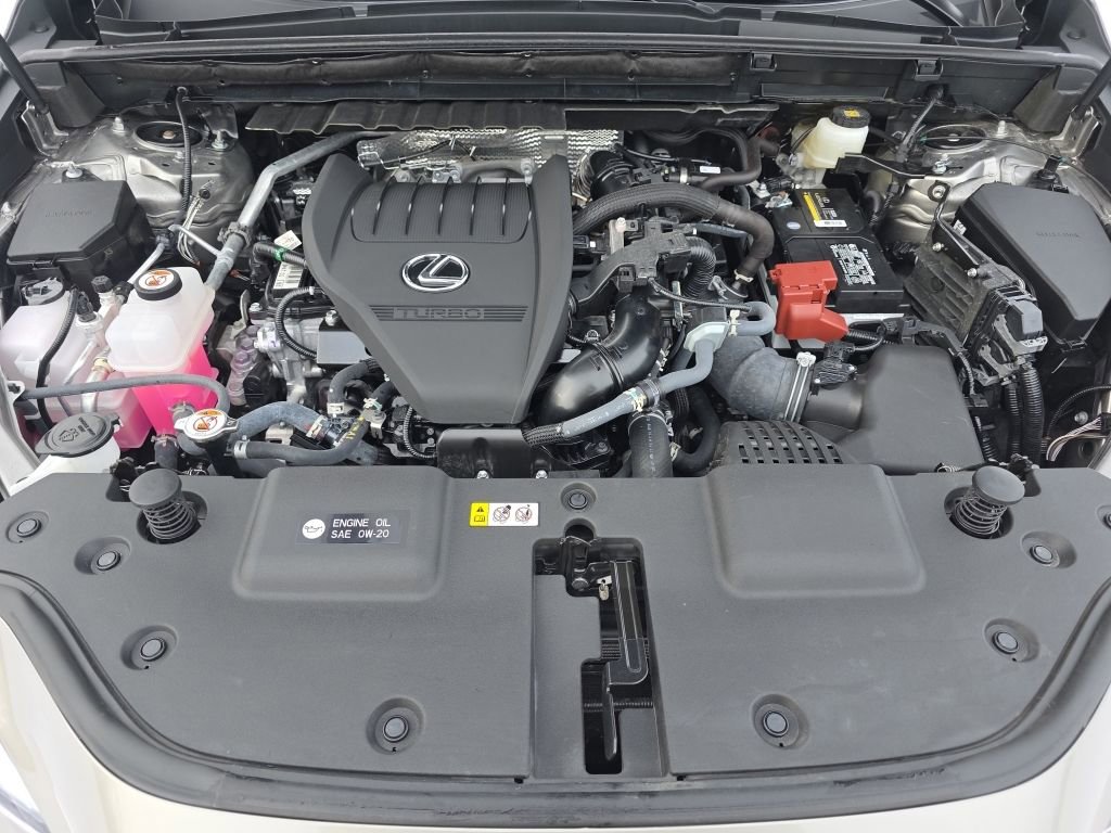Certified 2025 Lexus NX 350 AWD image 12