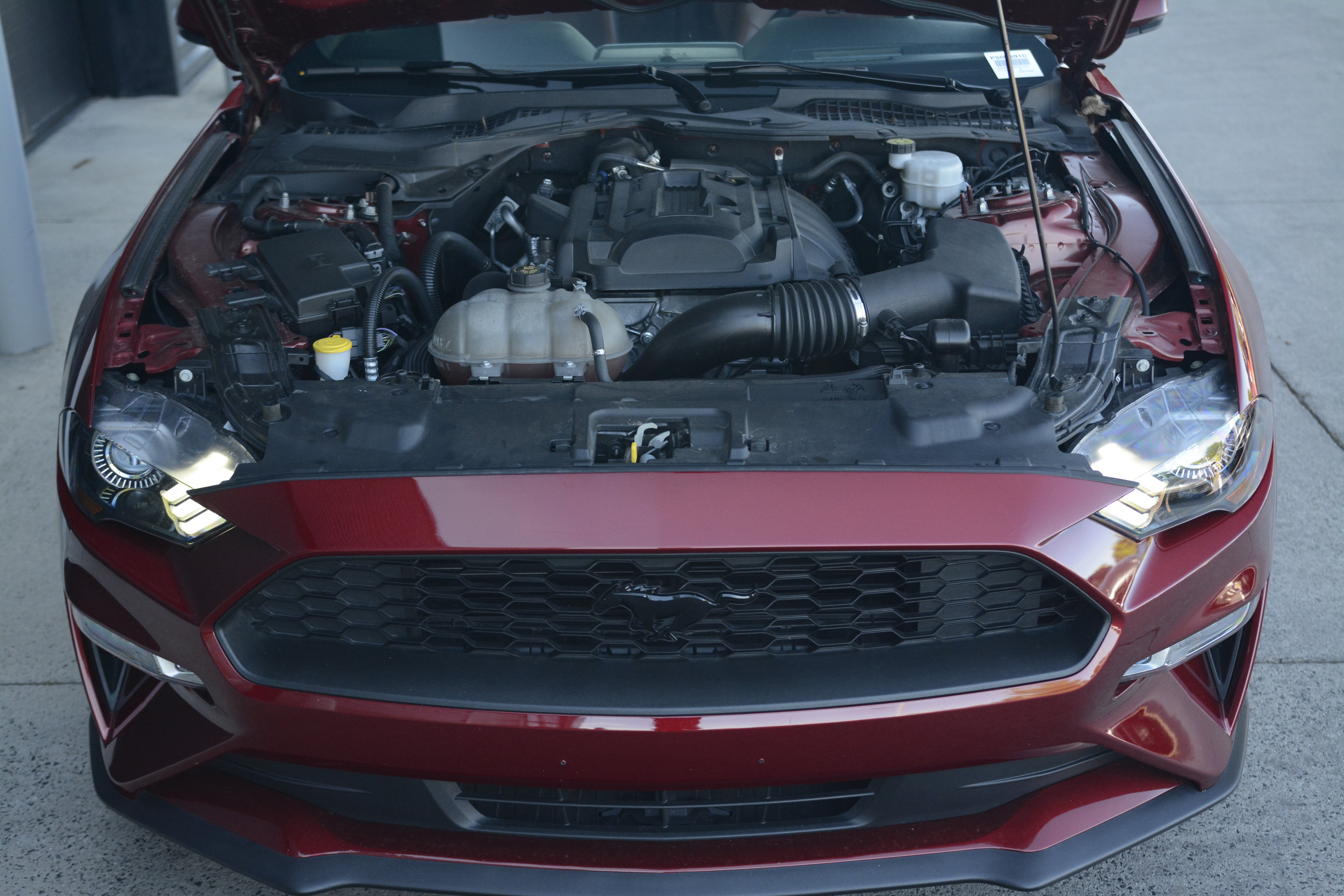 Used 2019 Ford Mustang Premium w/ Ford Safe & Smart Package RWD image 32