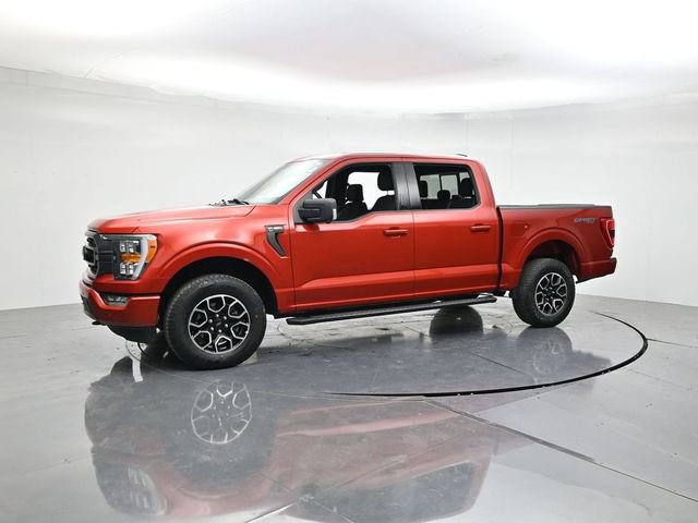Used 2023 Ford F150 XLT w/ Equipment Group 302A High AWD/4WD image 5