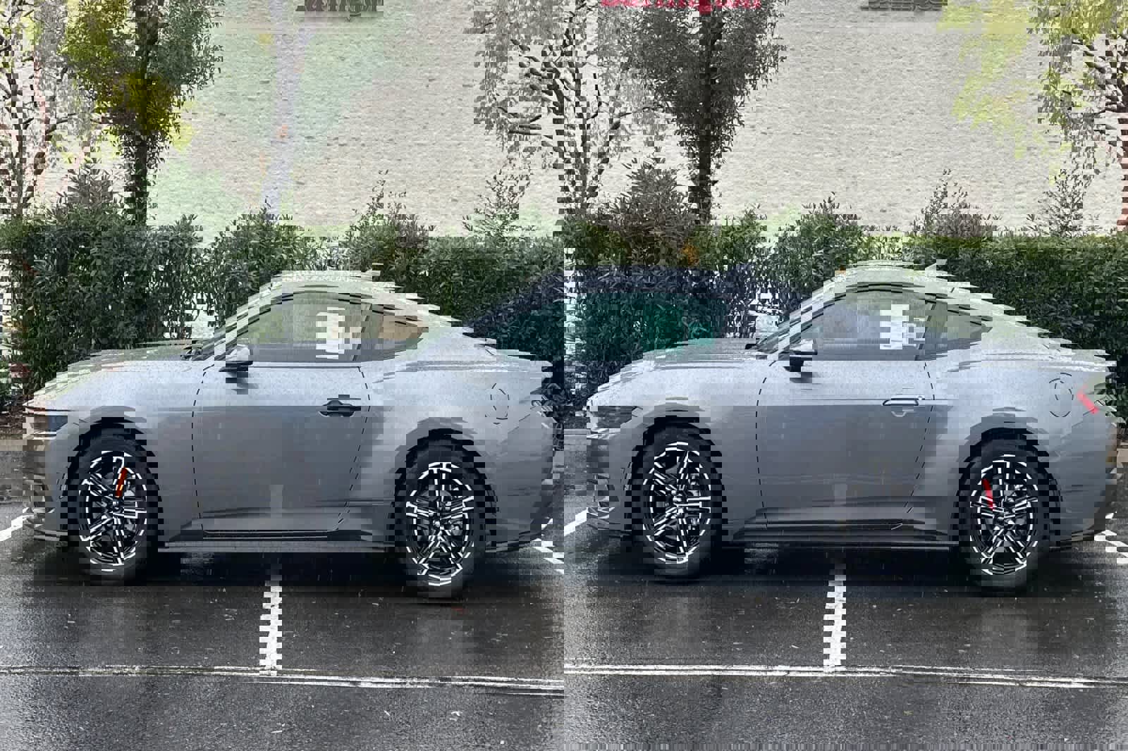 New 2025 Ford Mustang EcoBoost image 5