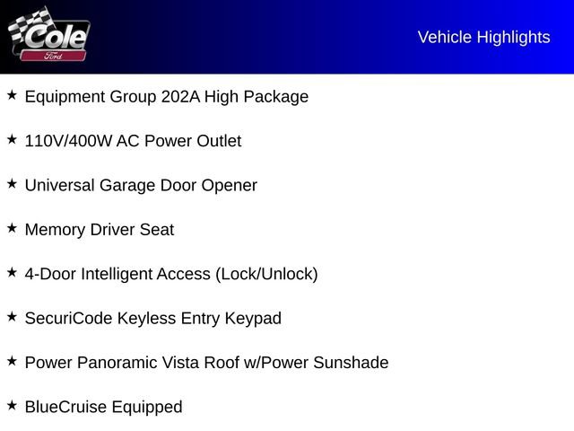 Used 2025 Ford Expedition Max Active AWD/4WD image 2