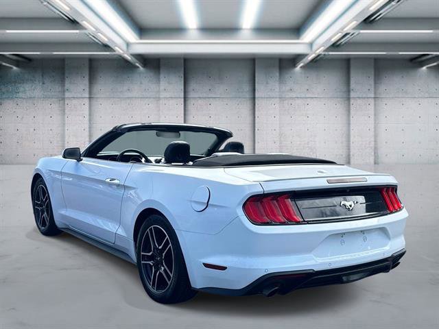Used 2022 Ford Mustang Premium RWD image 6