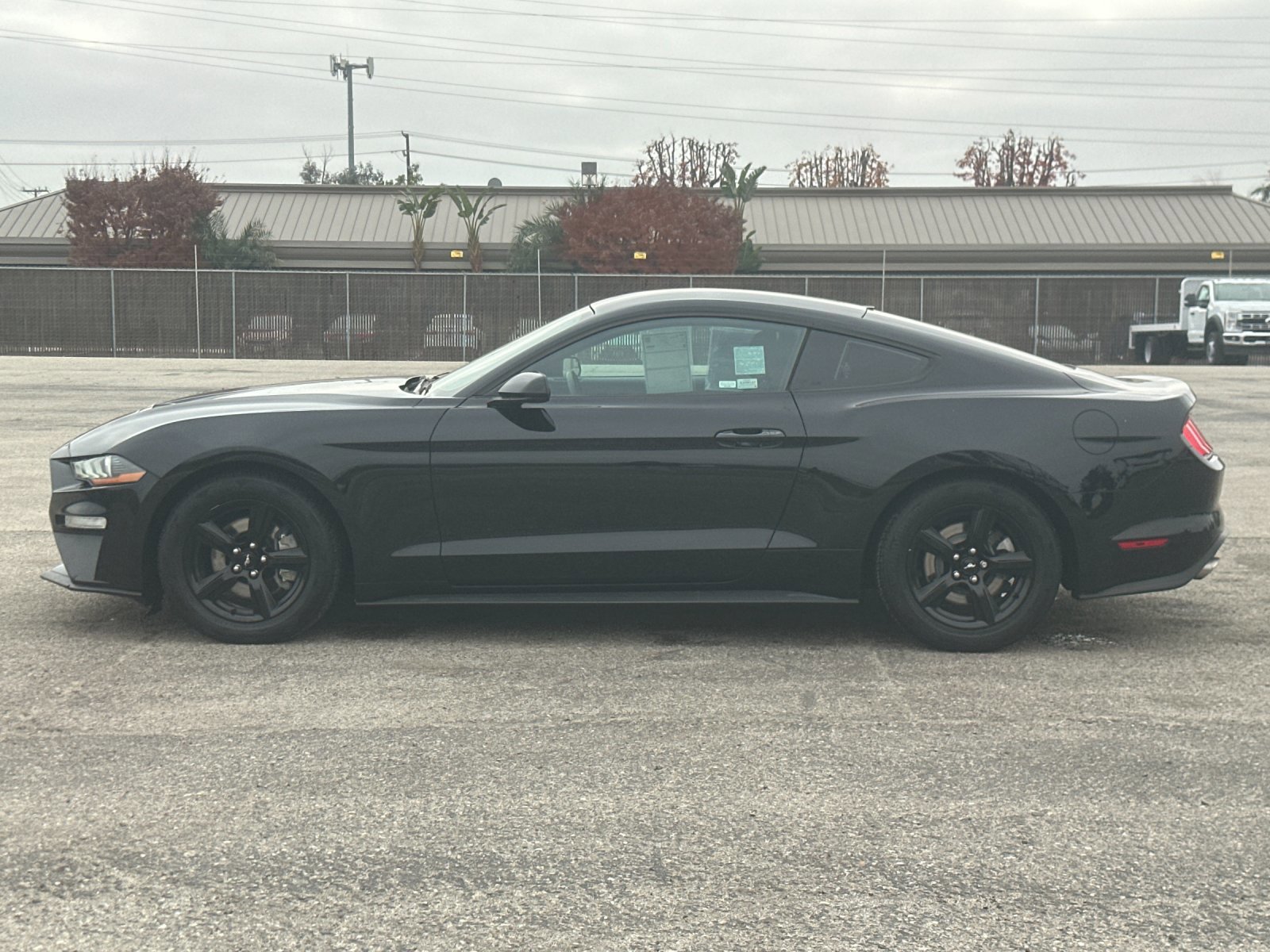 Certified 2018 Ford Mustang Coupe image 7