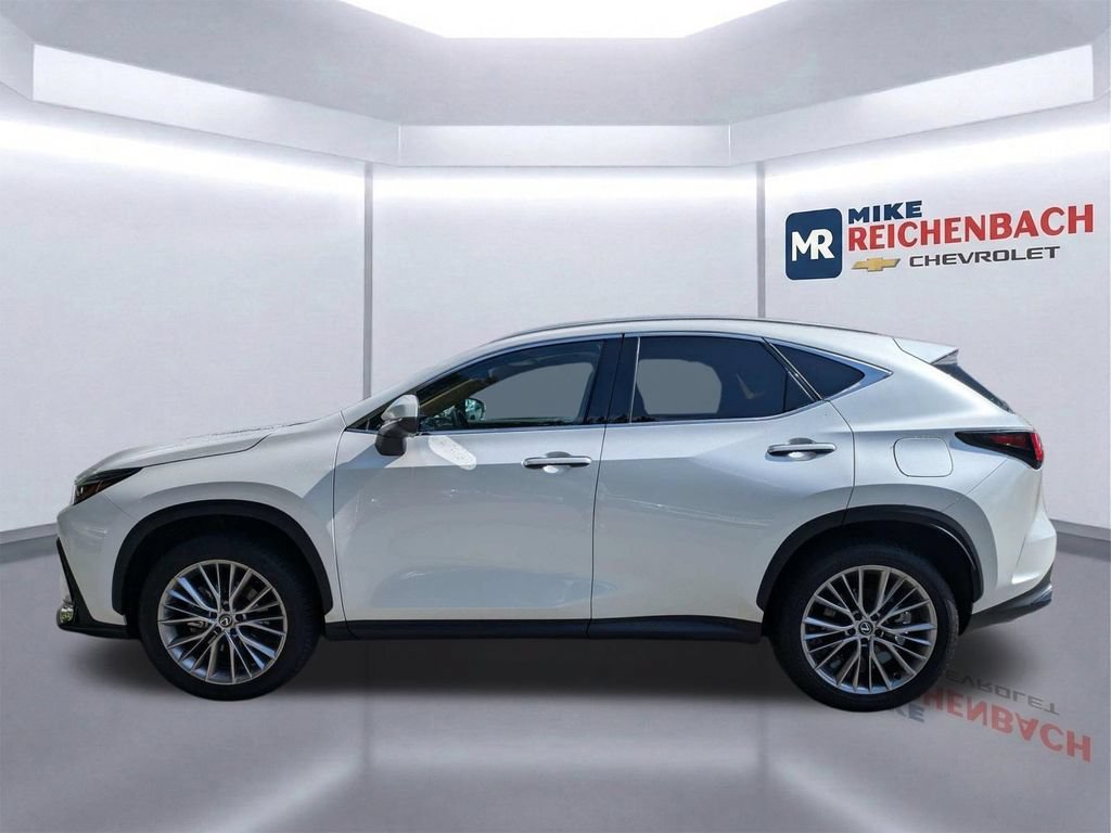 Used 2025 Lexus NX 350h AWD w/ Cold Area Package image 7