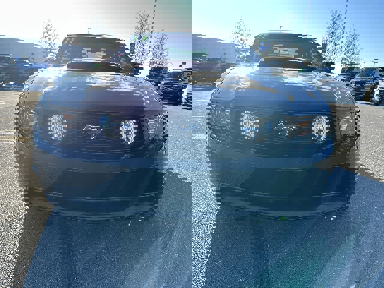 Used 2011 Ford Mustang GT Premium image 11