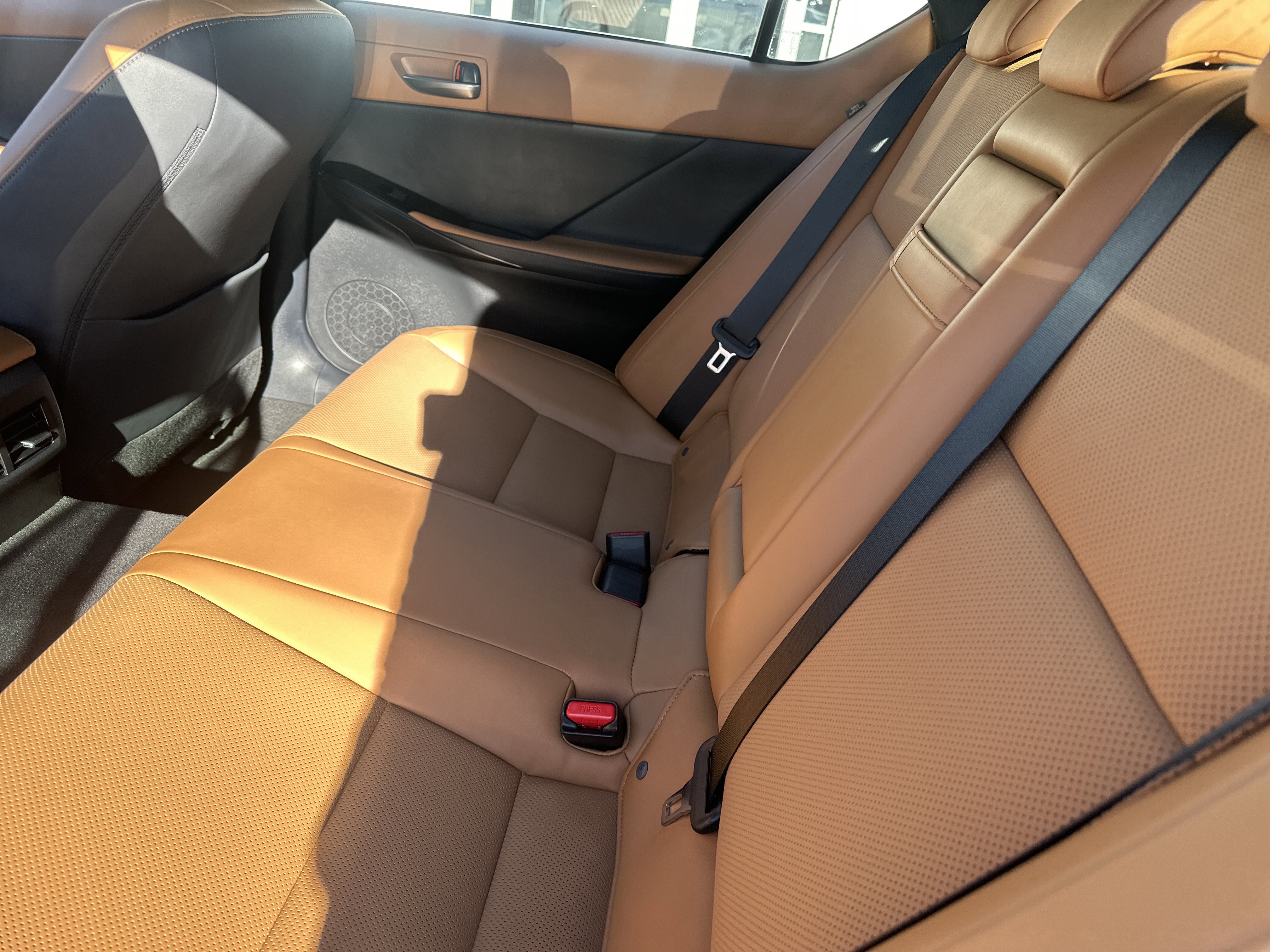 Used 2024 Lexus IS 300 w/ Comfort Package image 12