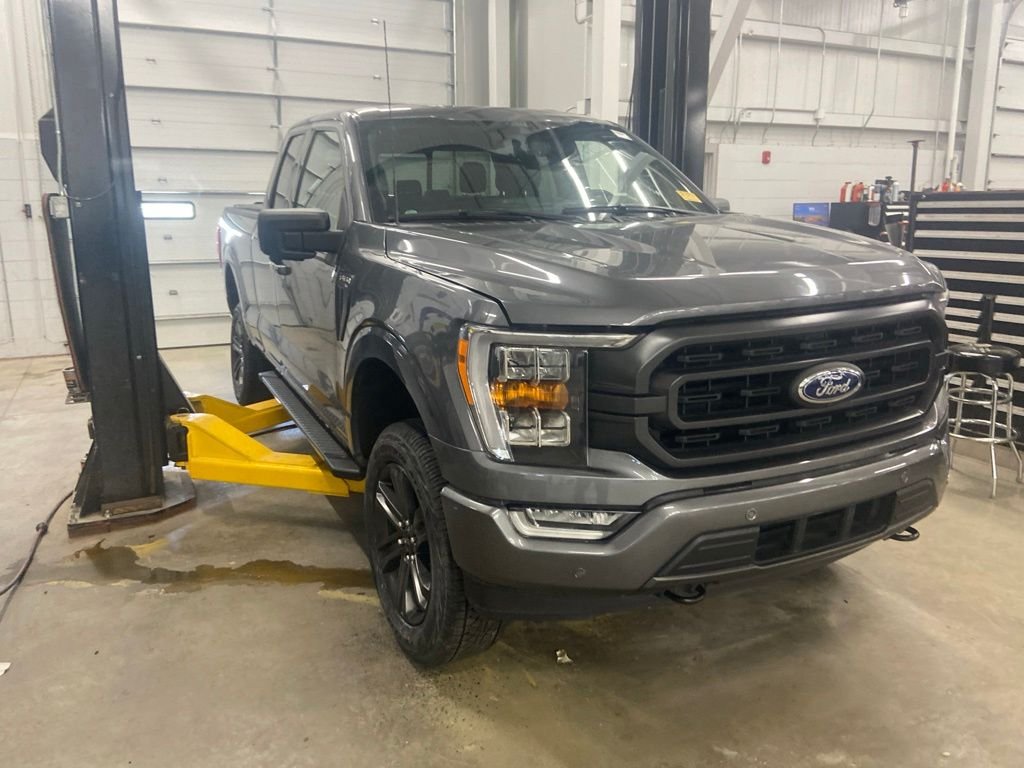 Used 2021 Ford F150 XLT w/ Equipment Group 302A High AWD/4WD image 1