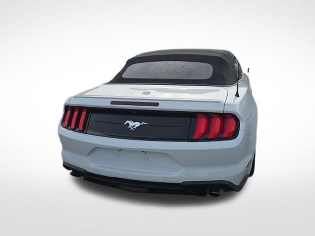 Used 2018 Ford Mustang Premium RWD image 4