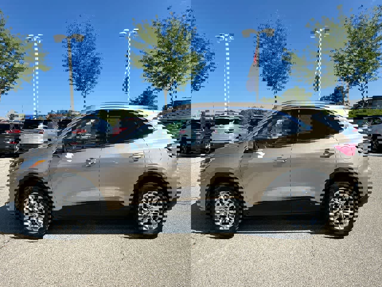 Used 2020 Ford Escape SE image 10