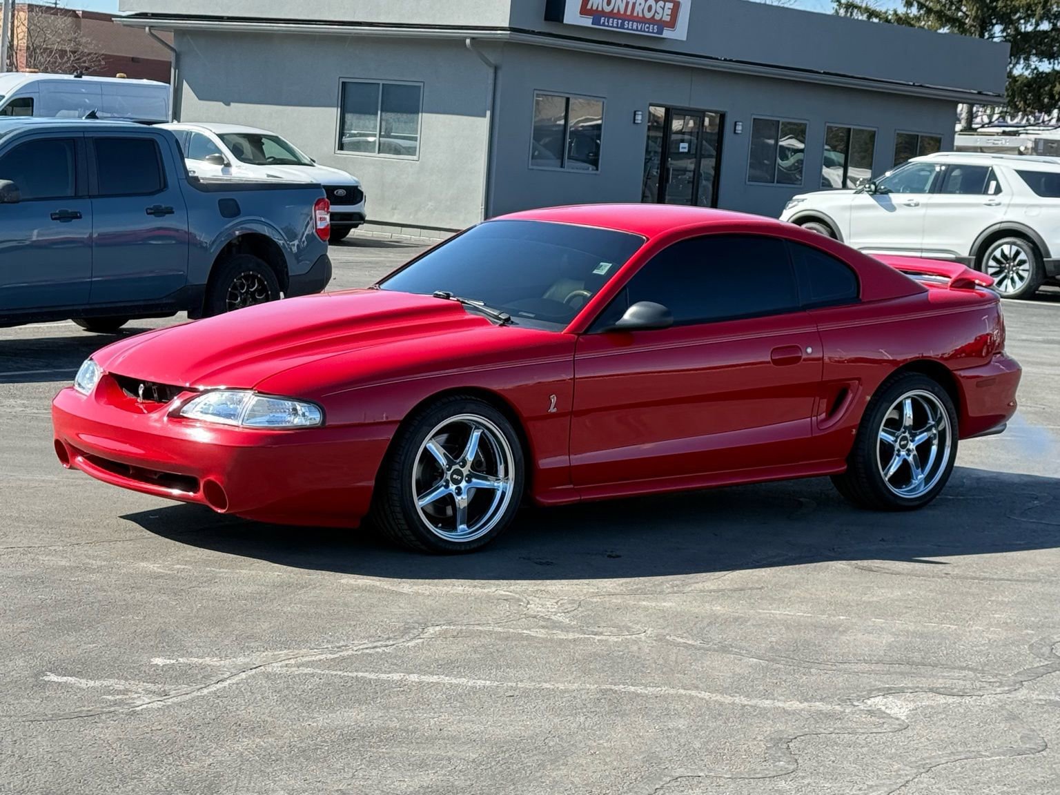 Used 1994 Ford Mustang Cobra image 7