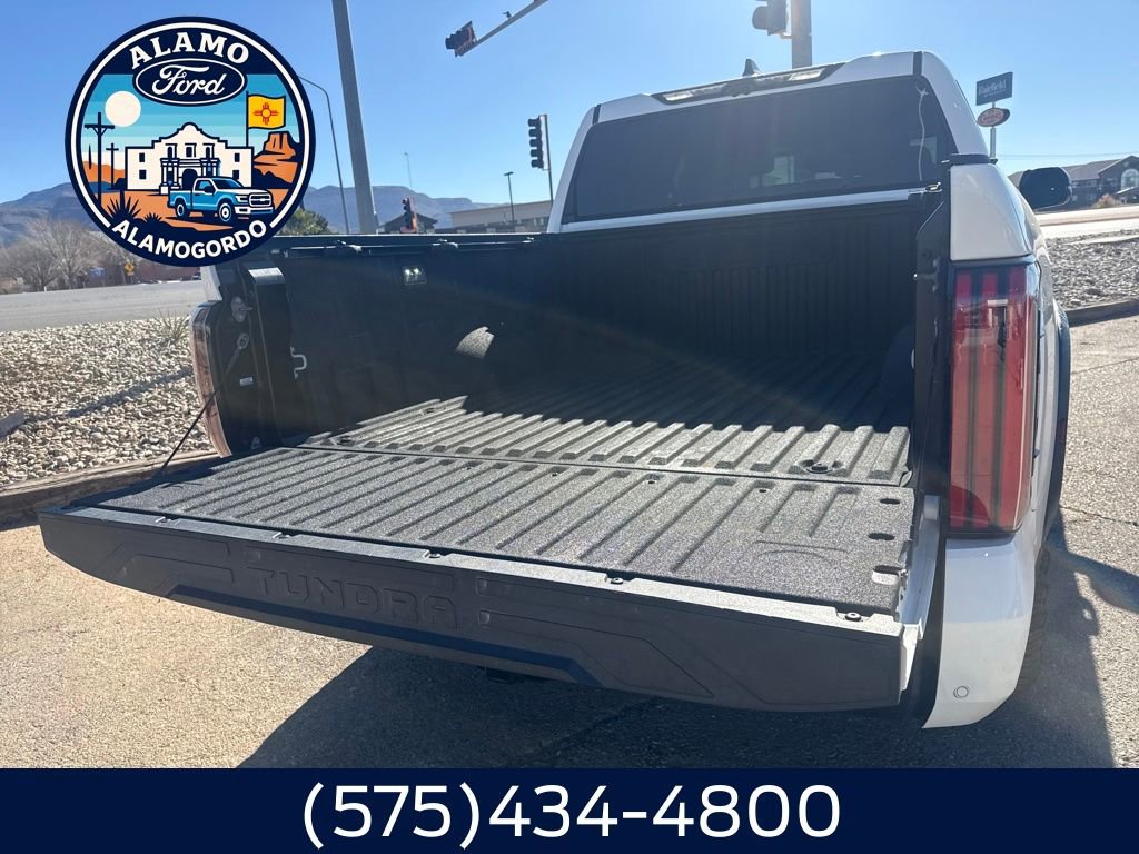Used 2022 Toyota Tundra TRD Pro image 14