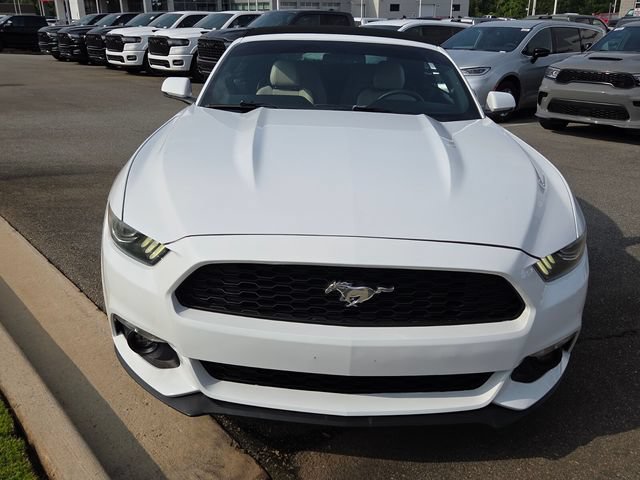 Used 2017 Ford Mustang Premium RWD image 2