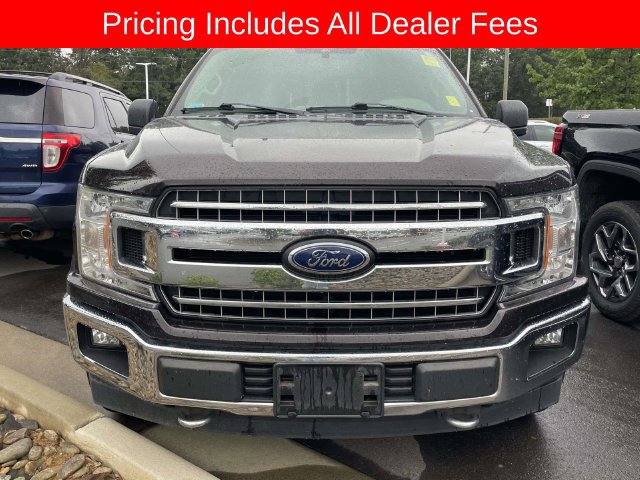 Used 2019 Ford F150 XLT w/ Equipment Group 302A Luxury AWD/4WD image 14