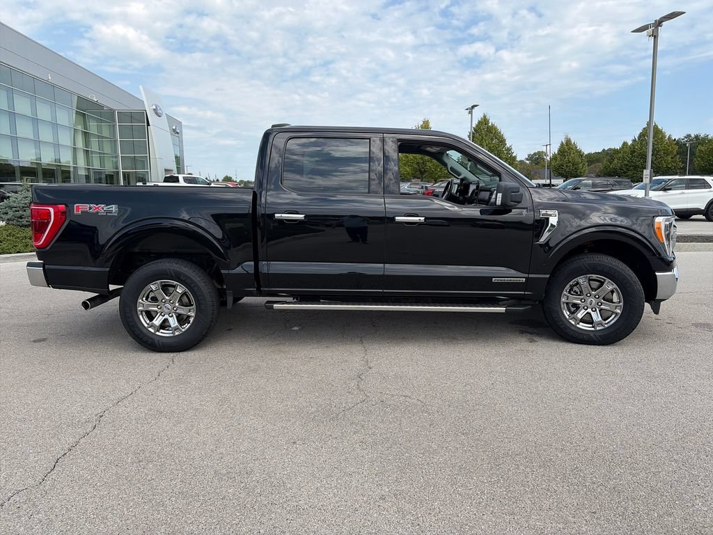 Used 2023 Ford F150 XLT w/ Equipment Group 302A High AWD/4WD image 8