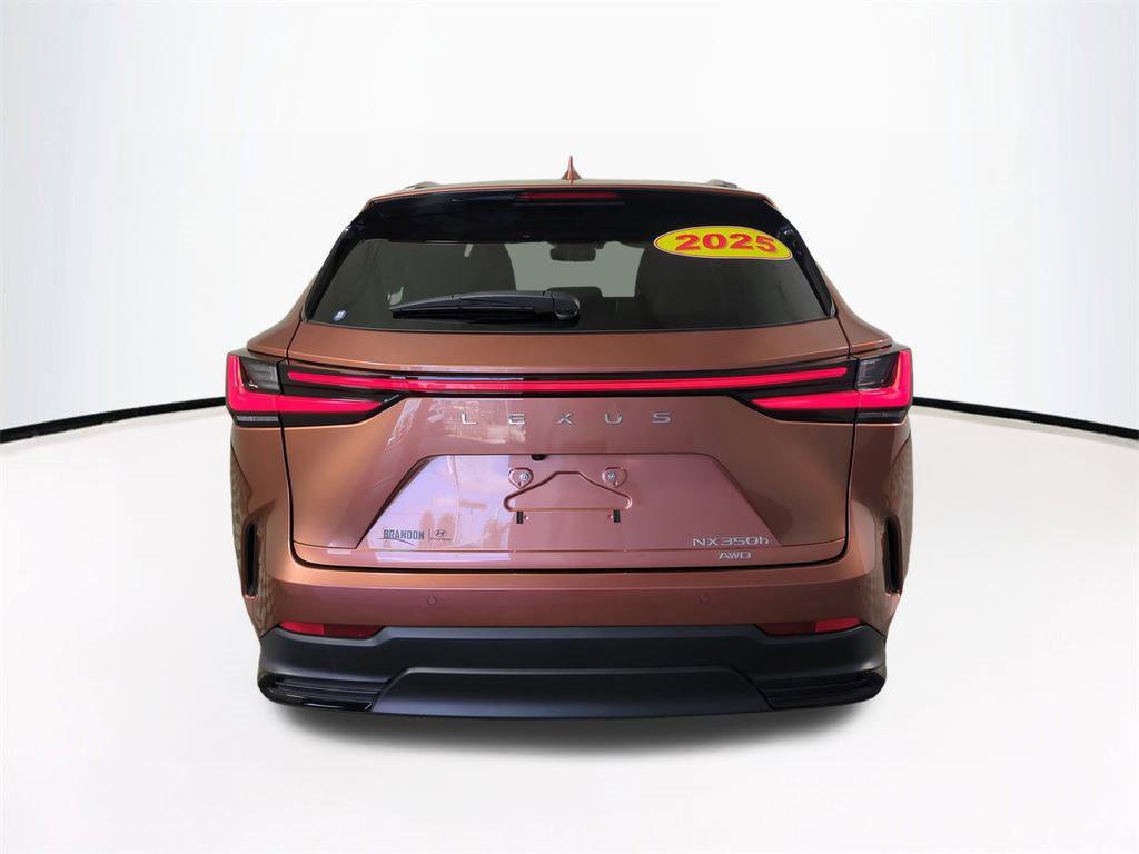 Used 2025 Lexus NX 350h AWD w/ Premium Package image 6
