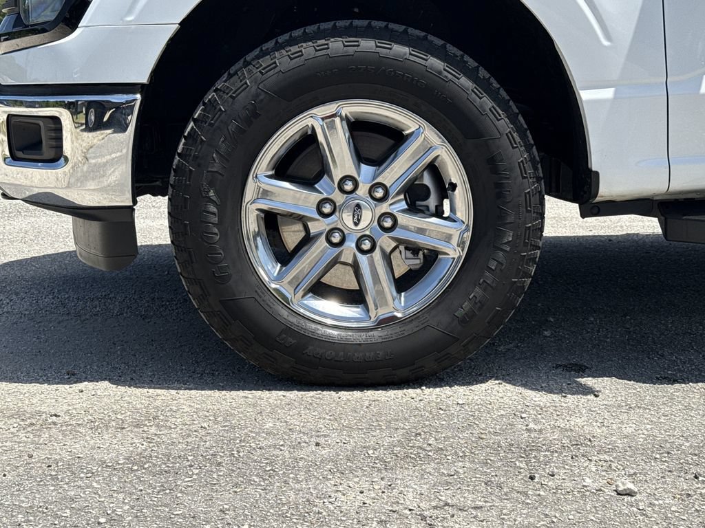 Used 2025 Ford F150 XLT w/ Equipment Group 301A Standard AWD/4WD image 9