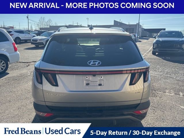 Used 2023 Hyundai Tucson Limited image 7