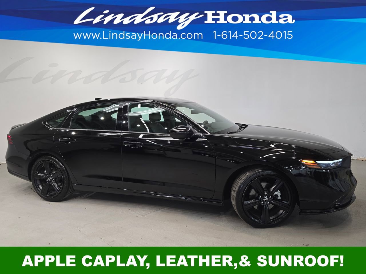 Used 2025 Honda Accord Sport image 3