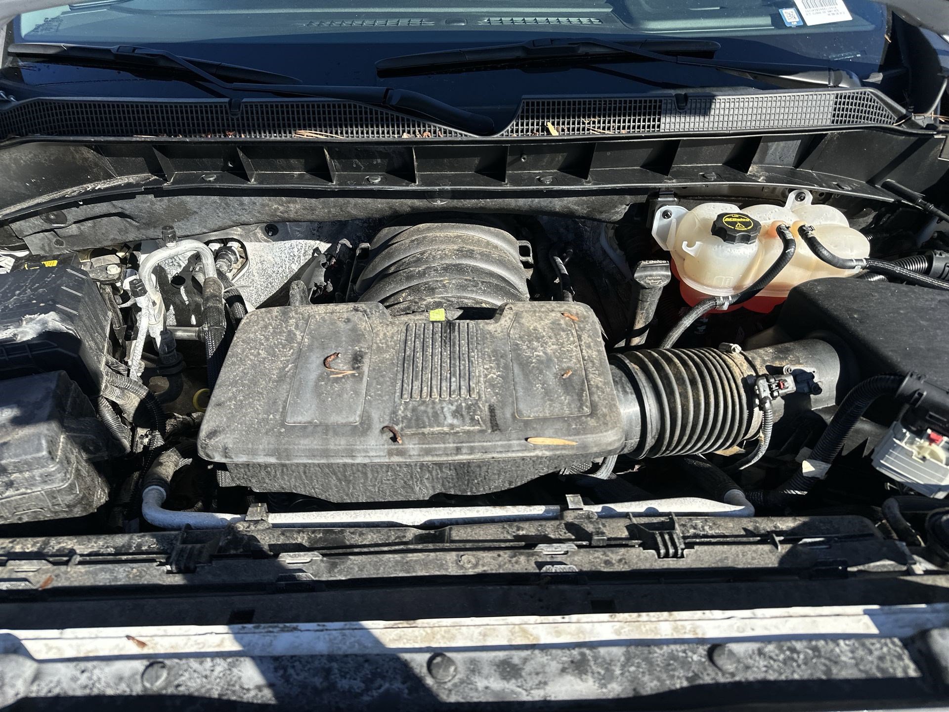 Used 2025 Chevrolet Silverado 1500 LT image 18