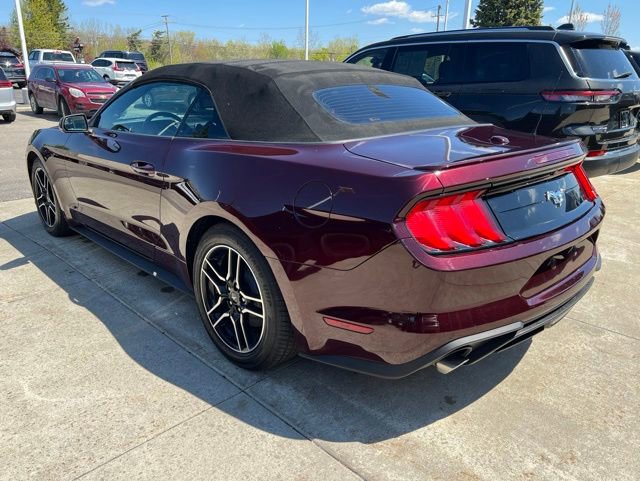 Used 2018 Ford Mustang Premium w/ Equipment Group 201A RWD image 4