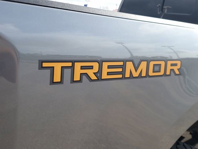 Used 2023 Ford F250 Lariat w/ Lariat Ultimate Package image 5