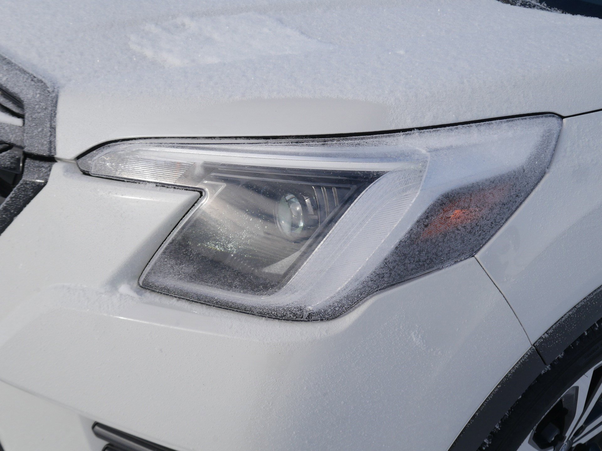 Used 2024 Subaru Forester Limited image 16