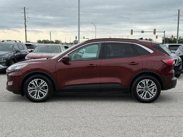 Used 2021 Ford Escape SEL w/ Technology Package FWD image 2