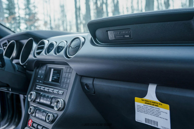 Used 2015 Ford Mustang Shelby GT350 image 38