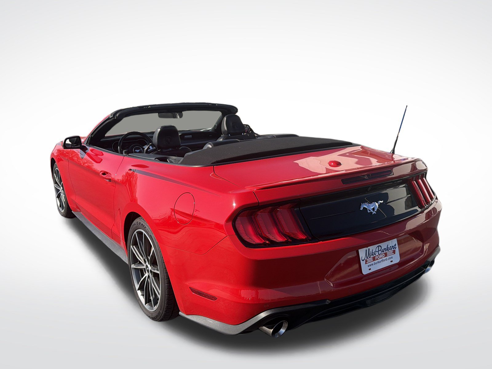 Used 2019 Ford Mustang Premium w/ Equipment Group 201A RWD image 23