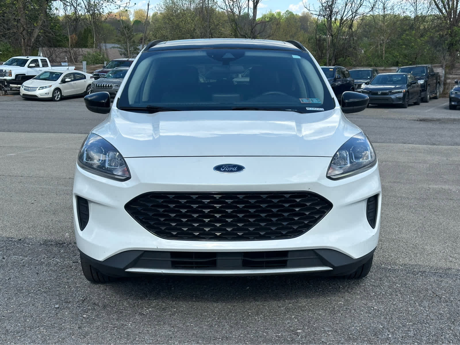 Used 2020 Ford Escape SE Sport AWD/4WD image 2