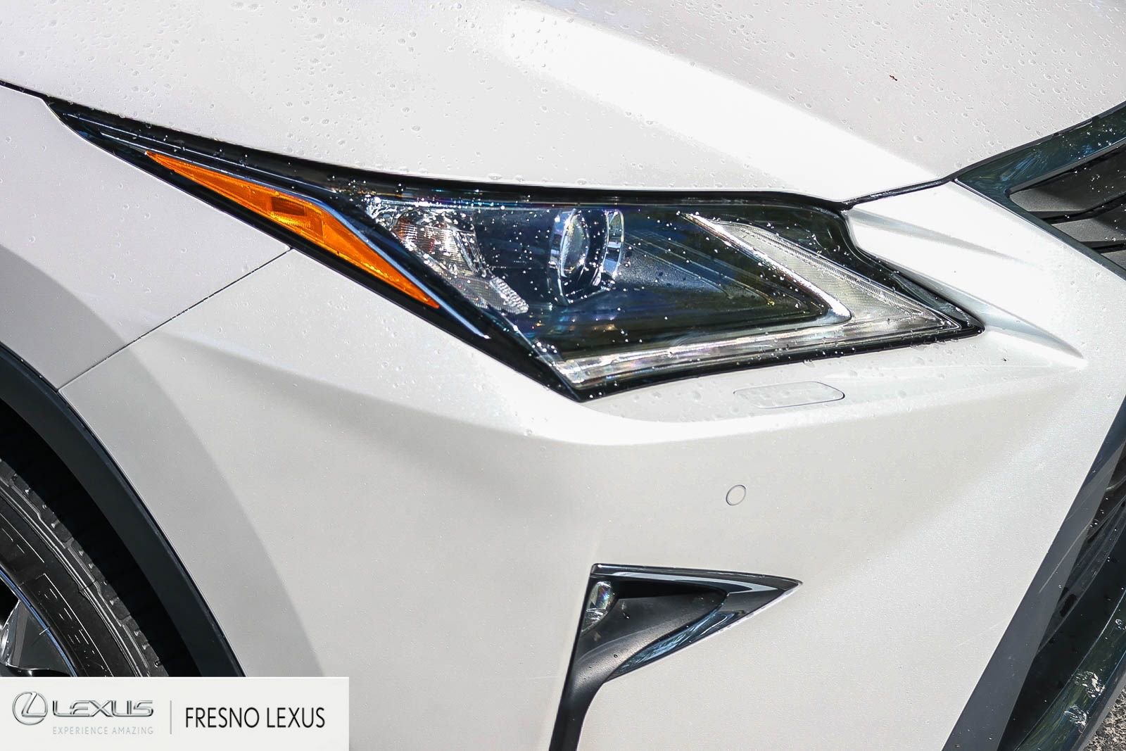 Used 2019 Lexus RX 450h AWD w/ Cold Area Package image 10
