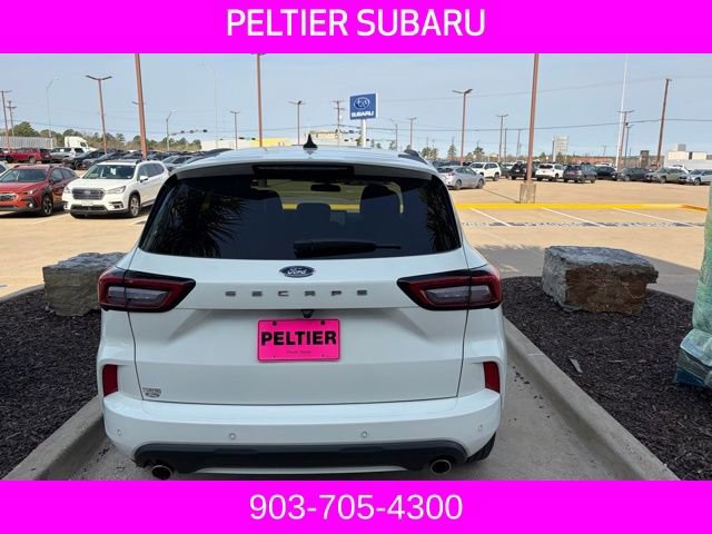Used 2024 Ford Escape ST-Line w/ Tech Pack #1 image 14