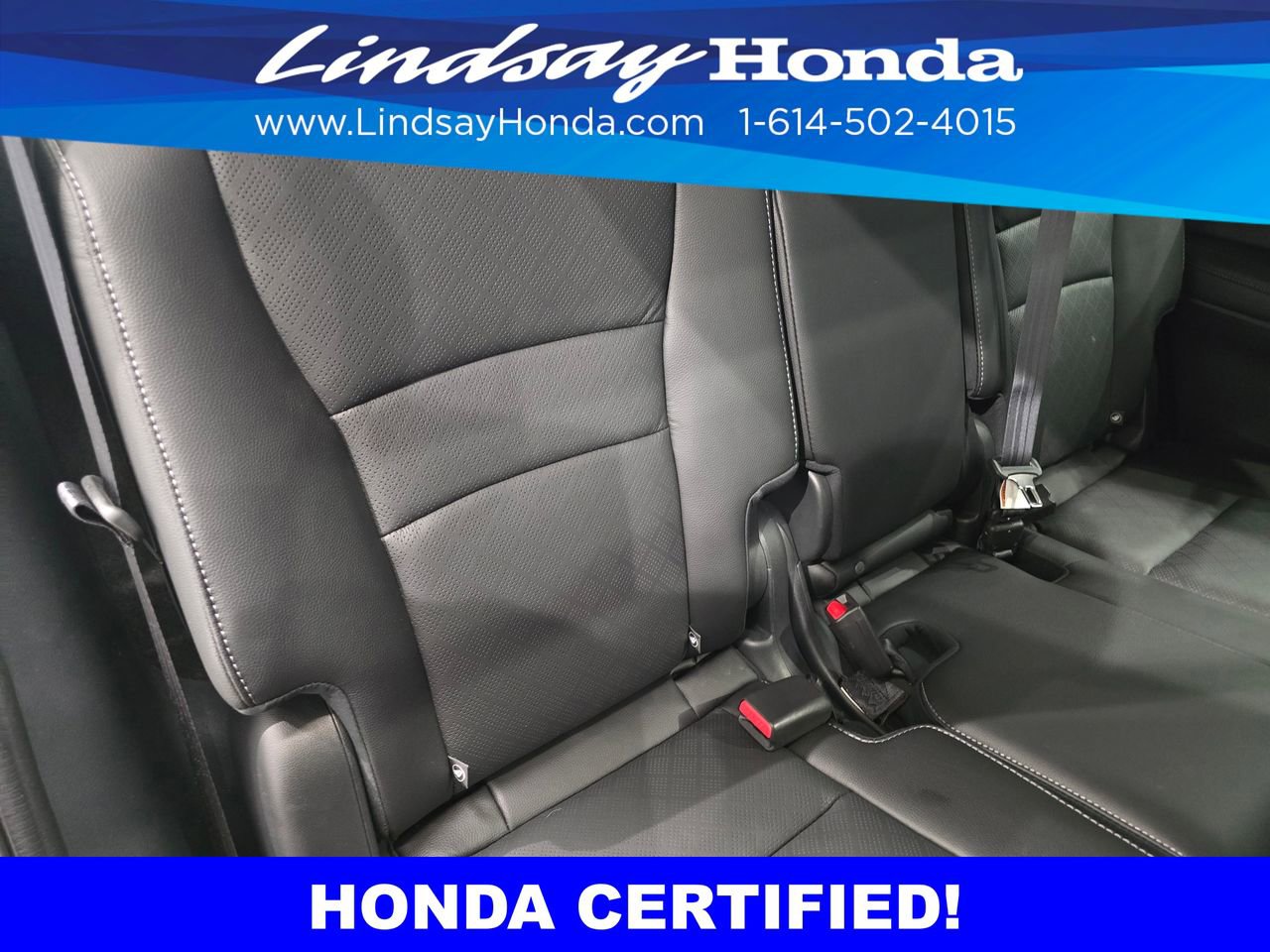 Used 2023 Honda Passport Elite image 14