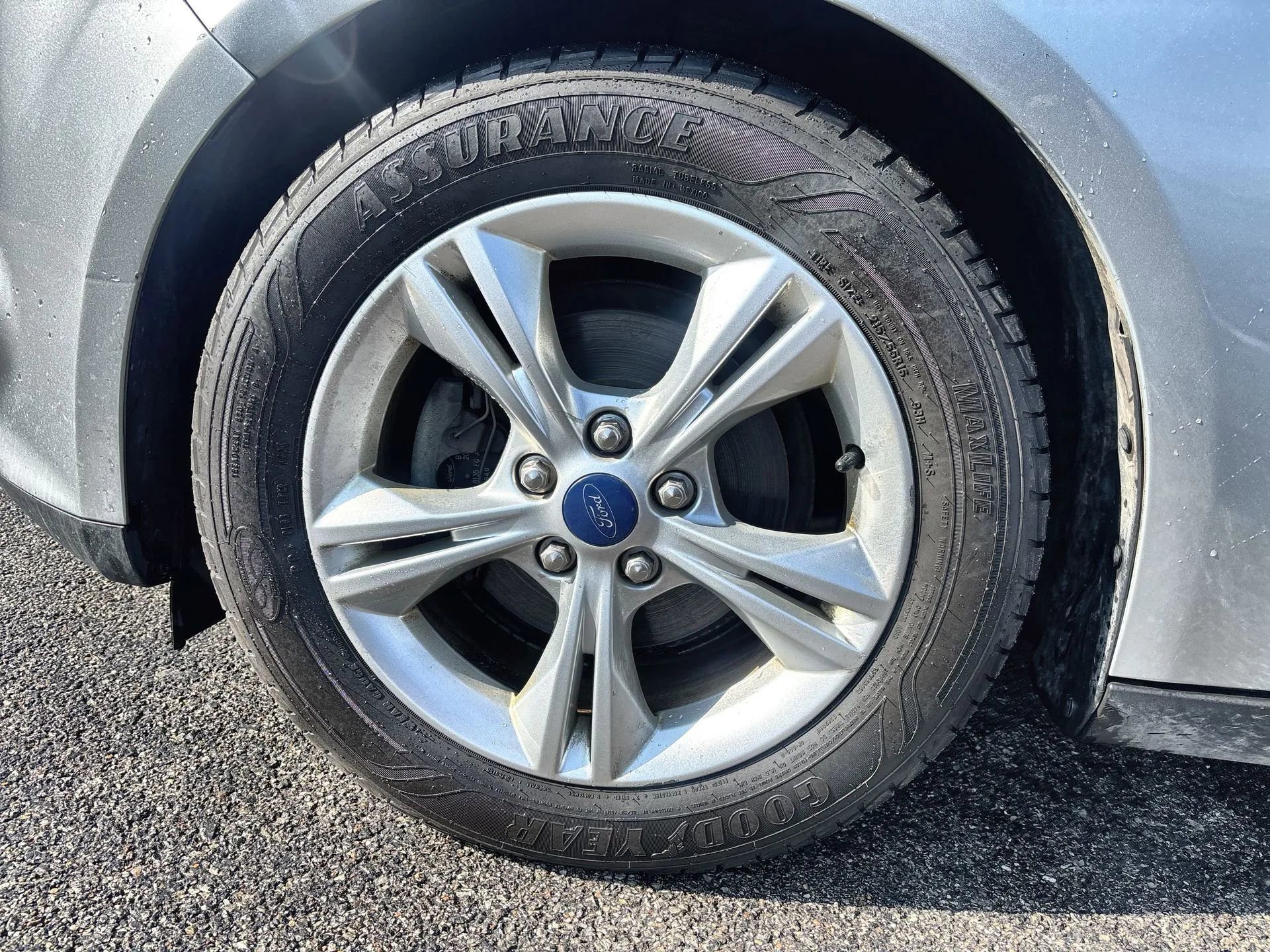 Used 2014 Ford Focus SE w/ SE Winter Package image 18