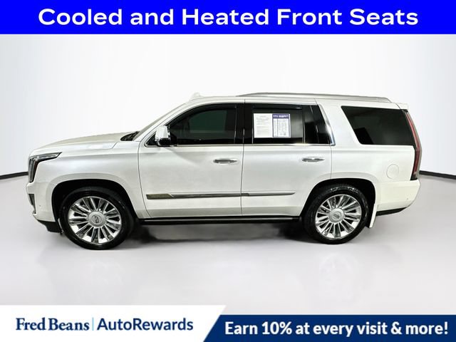 Used 2018 Cadillac Escalade Platinum AWD/4WD image 5